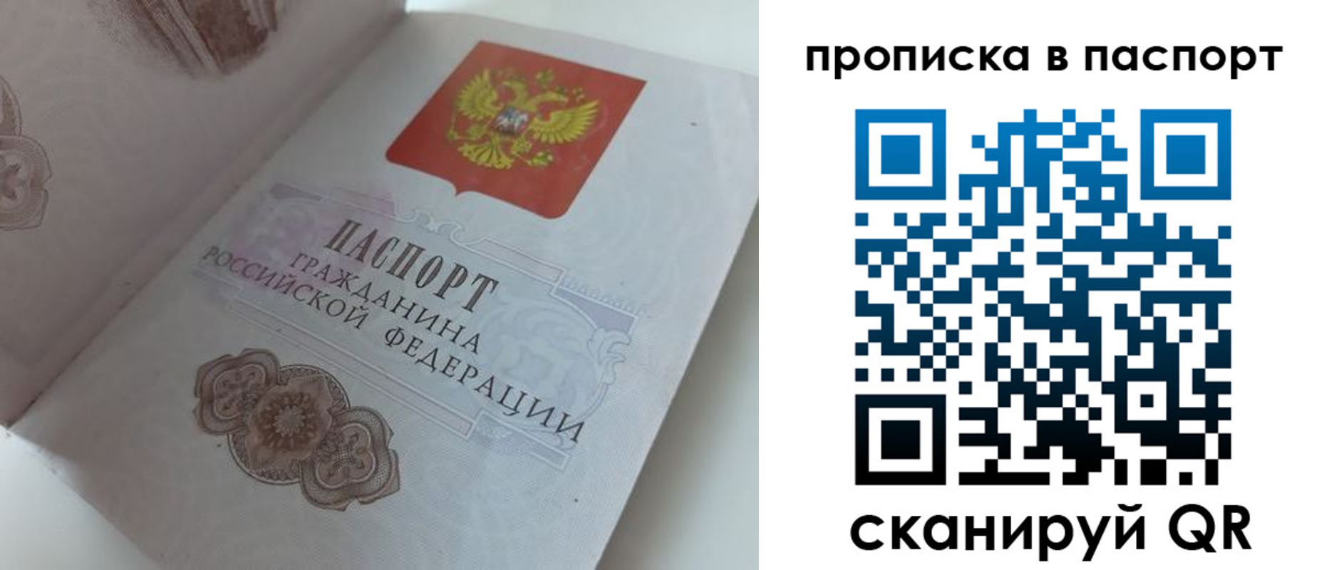 временная регистрация госуслуги в Павловске